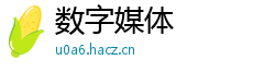 数字媒体
